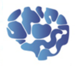 РЕСПУБЛИКАНСКИЙ НАУЧНО-ПРАКТИЧЕСКИЙ ЦЕНТР НЕВРОЛОГИИ И НЕЙРОХИРУРГИИ ГУ