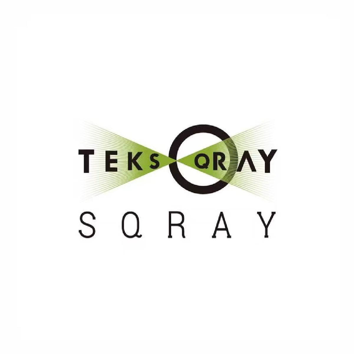 2_ShengQiamg Comapny_logo2